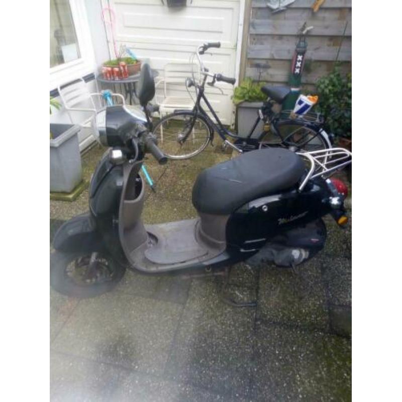 scooter btc 2014