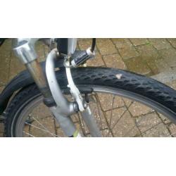 Batavus snake 26 inch