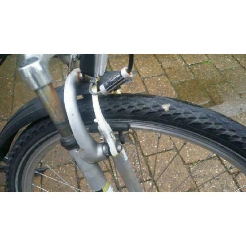 Batavus snake 26 inch