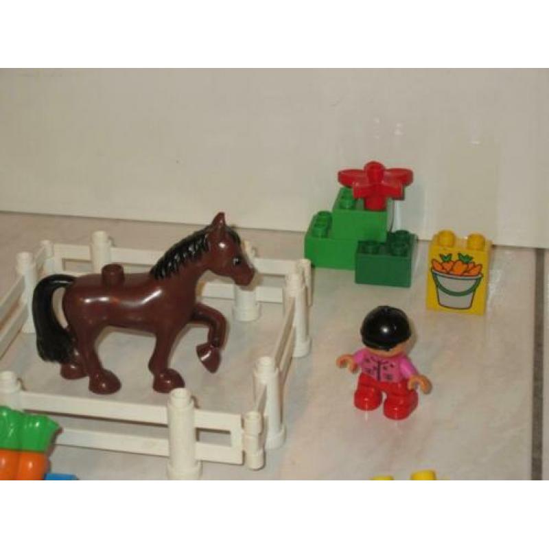 Duplo paardenstal