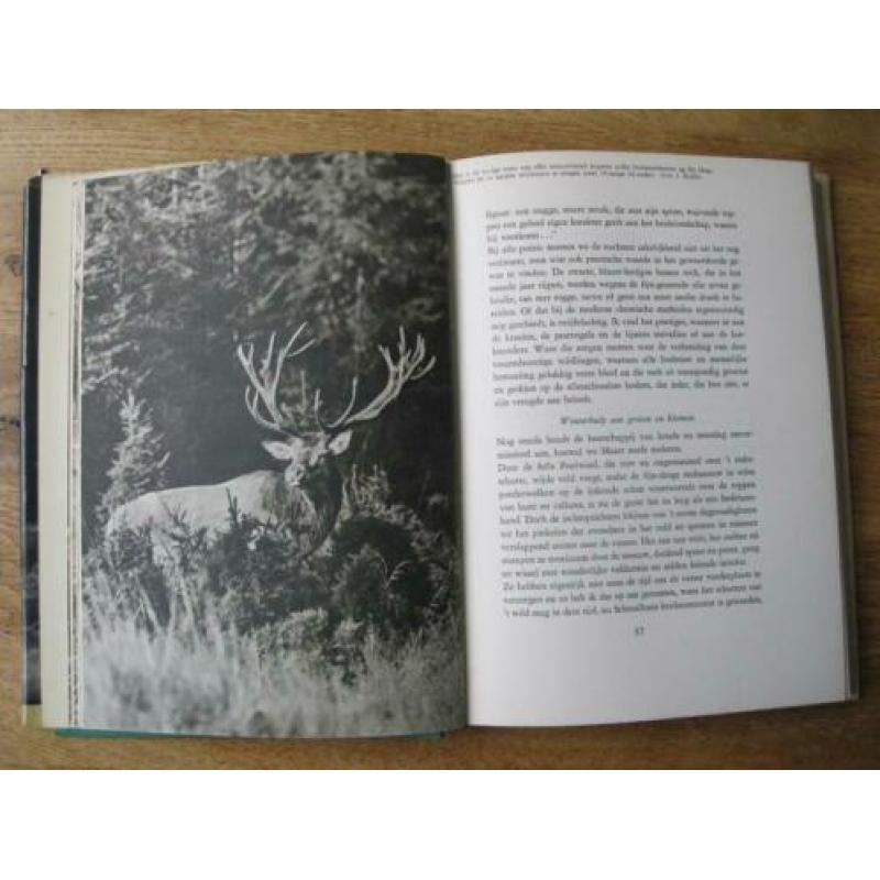 natuur jacht jagen.2x