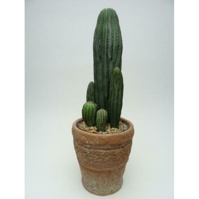 2 Kunstplanten in pot Cactus Cactussen Sierpot Kunstcactus