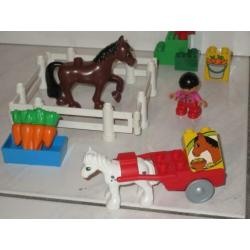 Duplo paardenstal