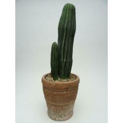 2 Kunstplanten in pot Cactus Cactussen Sierpot Kunstcactus