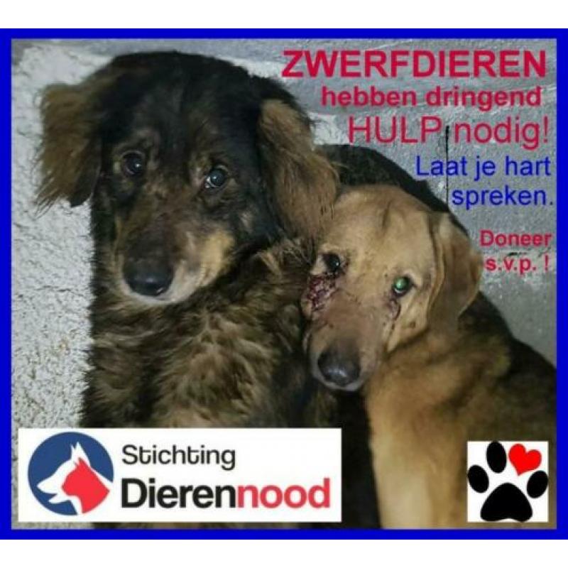 Snuffelkleden, snuffelmat, snuffel artikelen, manden, e.d.