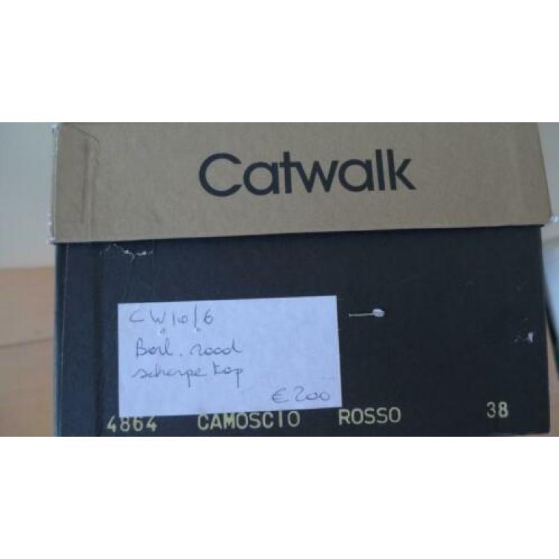 Catwalk Suede Ballerina