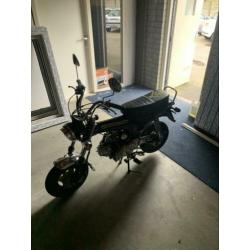 TNT Moto 49cc NIEUW!