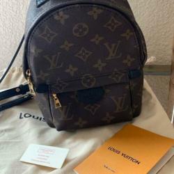 Louis Vuitton Palm Springs Mini