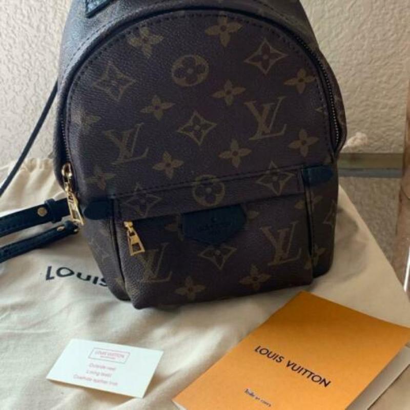 Louis Vuitton Palm Springs Mini