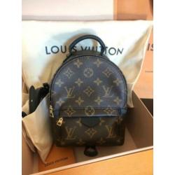 Louis Vuitton Palm Springs Mini