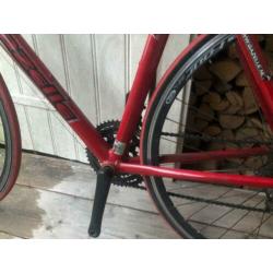 Gazelle Primavera Racefiets