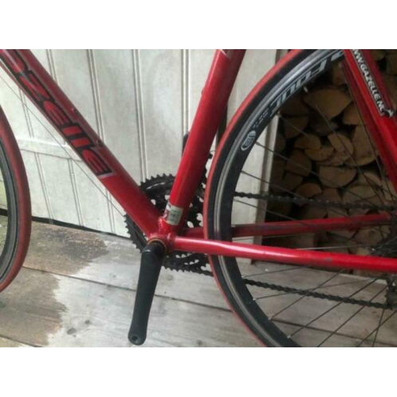 Gazelle Primavera Racefiets