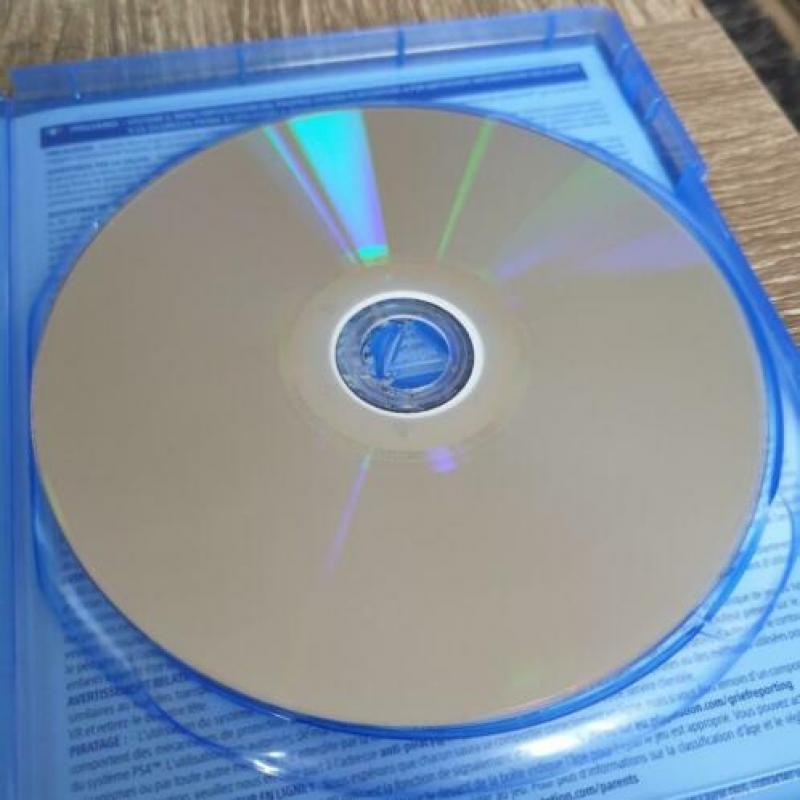 Shadow of the colossus