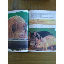 Boek mijn grote dieren boek