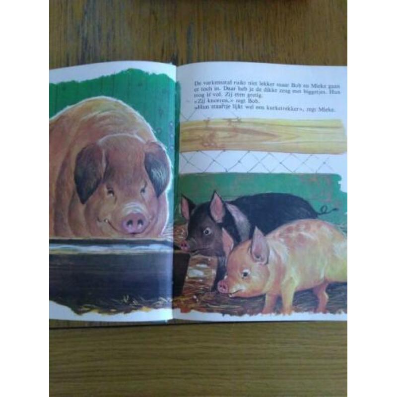 Boek mijn grote dieren boek