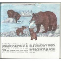 Bij de dieren thuis – de beren – Harriët Laurey - B331