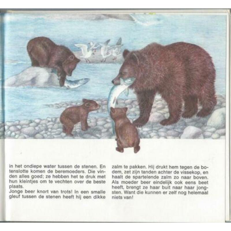 Bij de dieren thuis – de beren – Harriët Laurey - B331