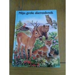 Boek mijn grote dieren boek