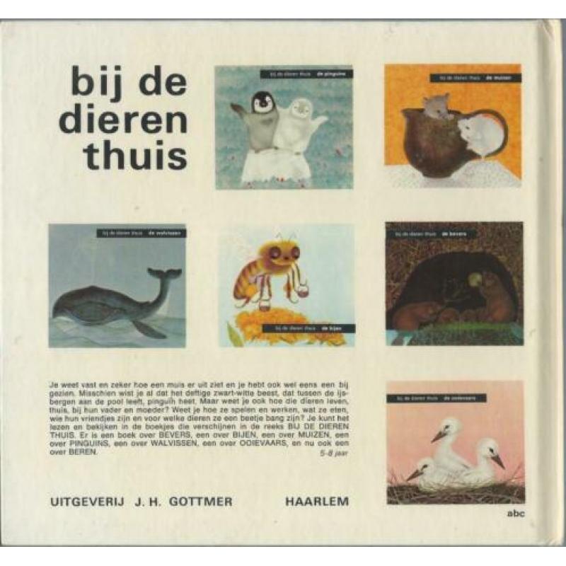 Bij de dieren thuis – de beren – Harriët Laurey - B331