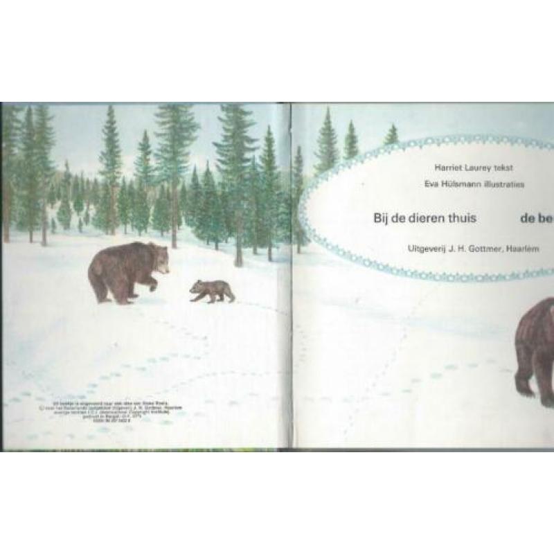 Bij de dieren thuis – de beren – Harriët Laurey - B331