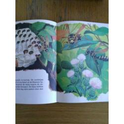 Boek mijn grote dieren boek