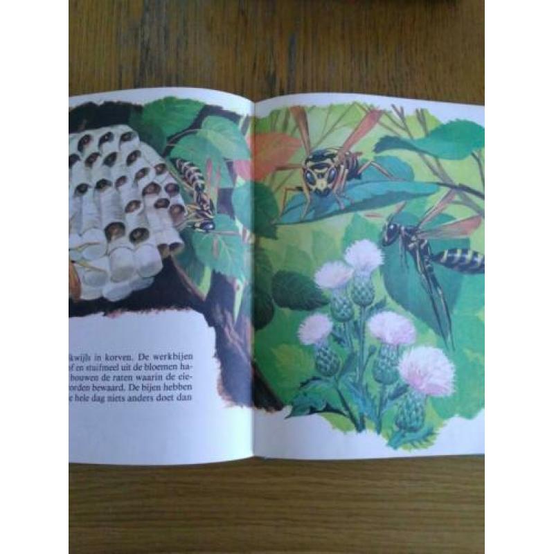 Boek mijn grote dieren boek