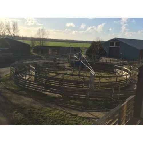 Te koop Stap/trainingsmolen voor paarden