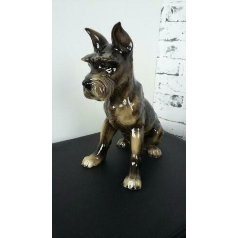 Goebel beeld schnautzer d