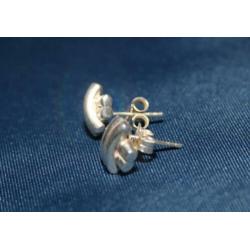 Prachtige Thomas Sabo X Oorbellen Stekers Sterling Zilver