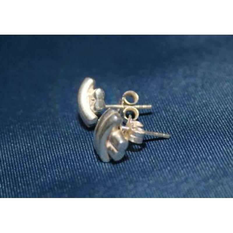 Prachtige Thomas Sabo X Oorbellen Stekers Sterling Zilver