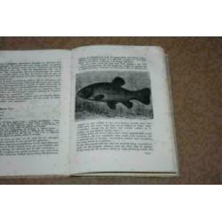 Het Zoetwateraquarium - Geïllustreerd handboekje - Ca 1950!!