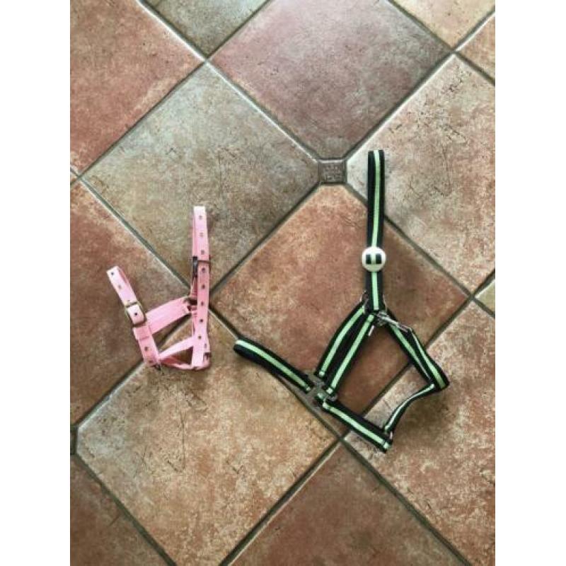 Zadeldekjes, halsters, singel, zwepen, bitten, kleding etc!