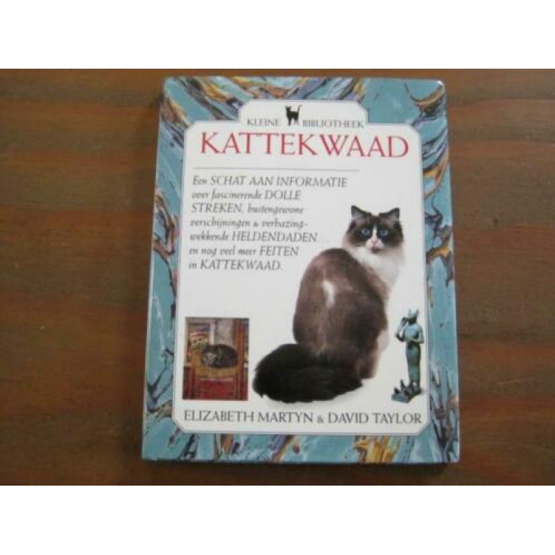 Kattekwaad Poes zie foto`s nr 4478