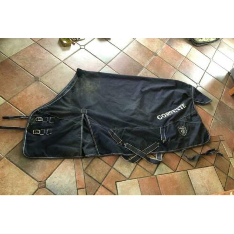Zadeldekjes, halsters, singel, zwepen, bitten, kleding etc!