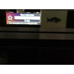Bauknegt combi magnetron stoomoven