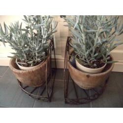 BROCANTE 2 Metalen steunen voor planten of als boekensteun