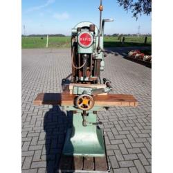 Kettingfrees van rapit