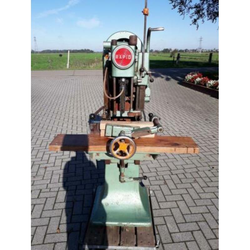 Kettingfrees van rapit