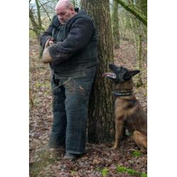 Dekreu Mechelse Herder (FCI Stamboom) In Opleiding Ph1