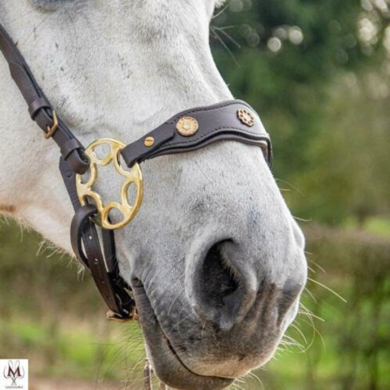 Hackamore ster wiel bitloos rijden met je paard / pony