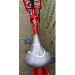 Volare Ashley 20 inch transporter