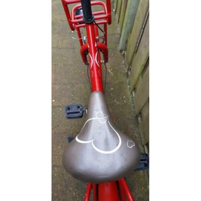 Volare Ashley 20 inch transporter