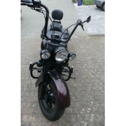 Softail heratige