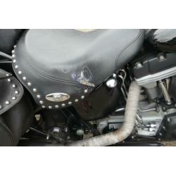 Softail heratige