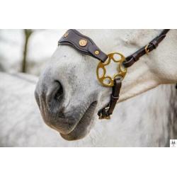 Hackamore ster wiel bitloos rijden met je paard / pony