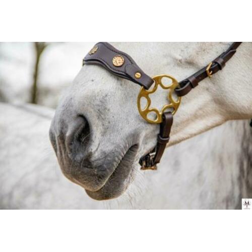 Hackamore ster wiel bitloos rijden met je paard / pony