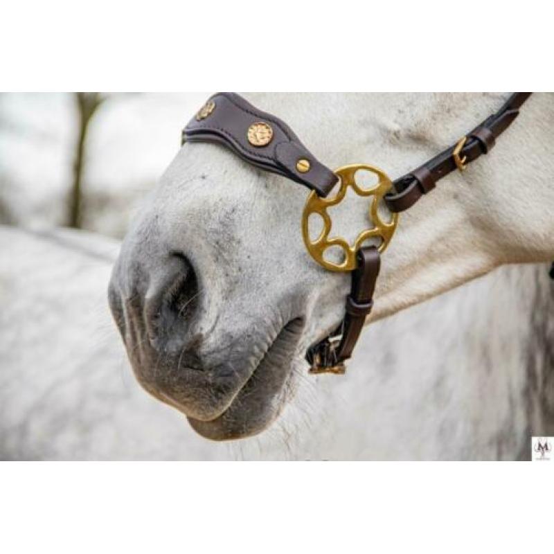 Hackamore ster wiel bitloos rijden met je paard / pony