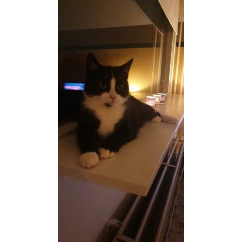 Pepper en Sushi zoeken een nieuw huis