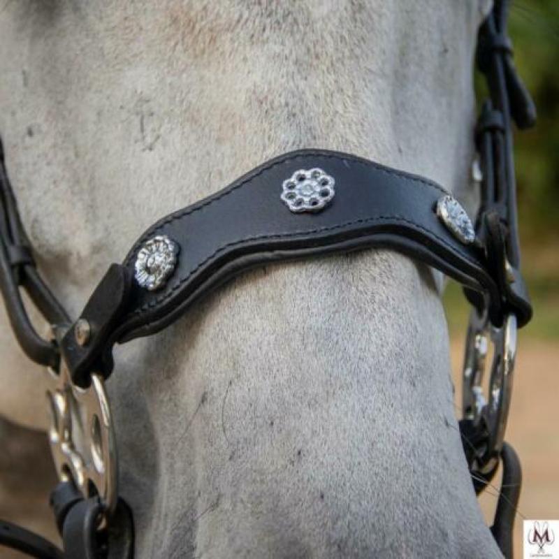 Hackamore ster wiel bitloos rijden met je paard / pony