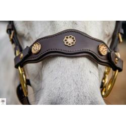Hackamore ster wiel bitloos rijden met je paard / pony